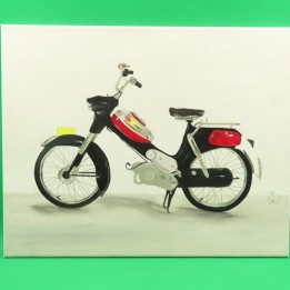 Handgeschilderd Canvas Puch VS-50 Handgeschilderd Canvas Puch VS-50